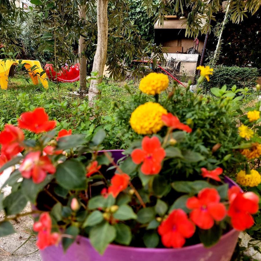 Vacation Home Near The Sea Durres Bagian luar foto
